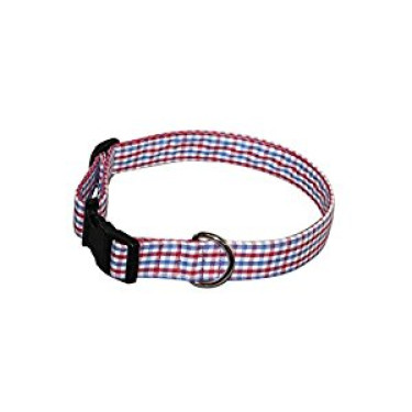 Medium Red and Blue Gingham