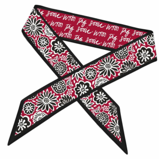 Arkansas Skinny Scarf