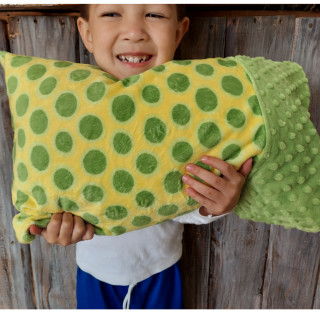 Retro Dot Minky Toddler Pillow