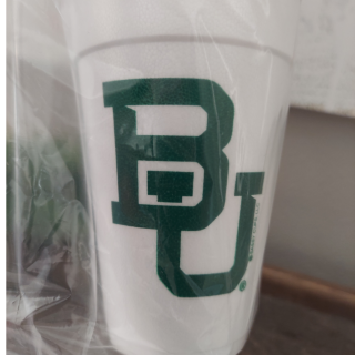 SIC'EM STYROFOAM CUPS