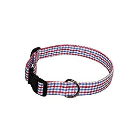 Medium Red and Blue Gingham
