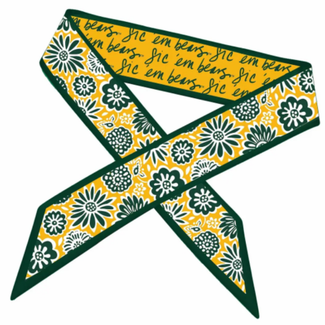 Baylor Skinny Scarf